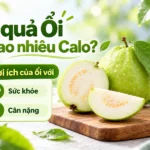 1 quả ổi bao nhiêu calo? Cách tính chuẩn, ăn sao để giữ dáng